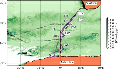 Links Between the Phytoplankton Community Composition and Trace Metal Distribution in Summer Surface Waters of the Atlantic Southern Ocean